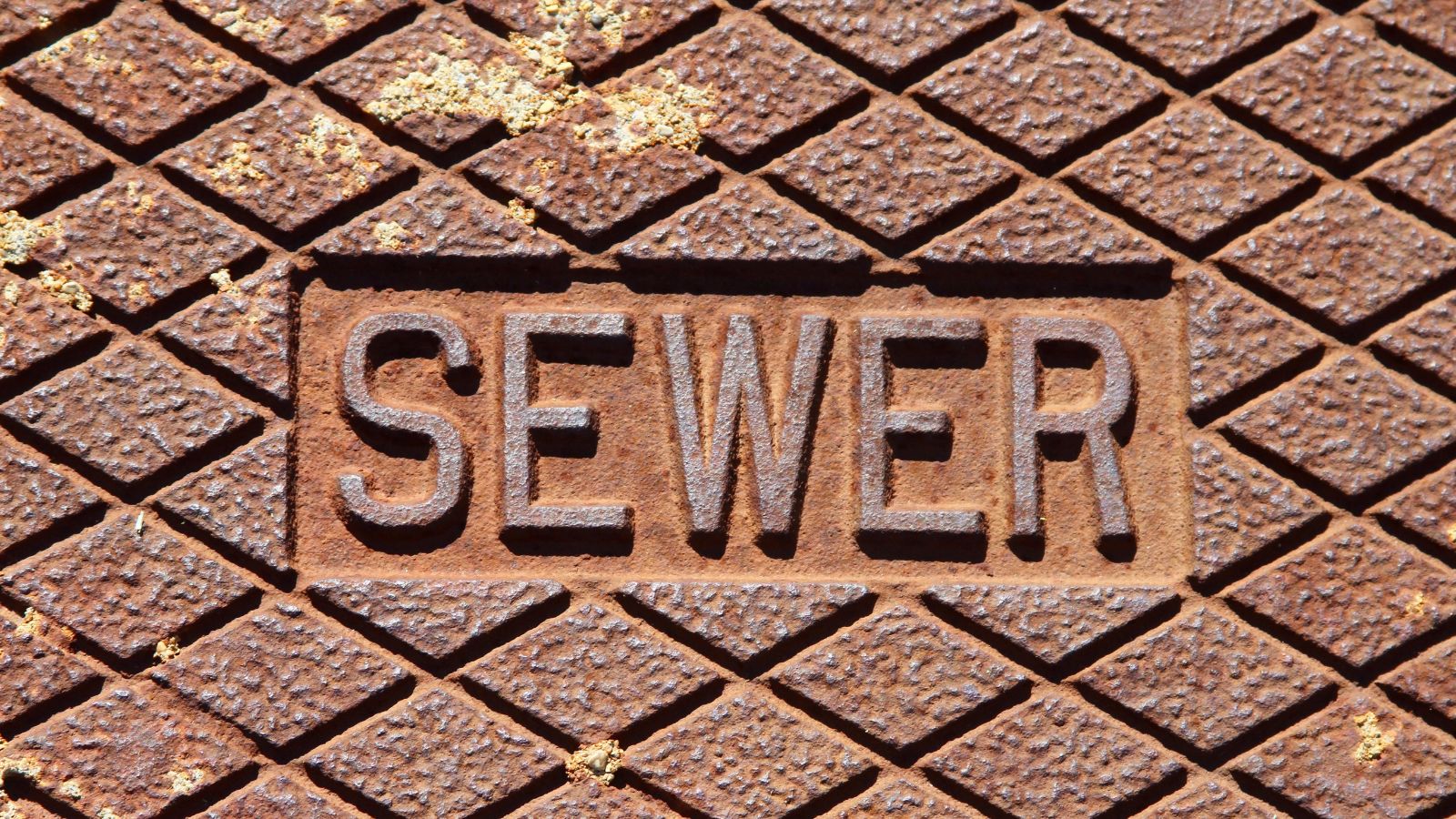 sewer