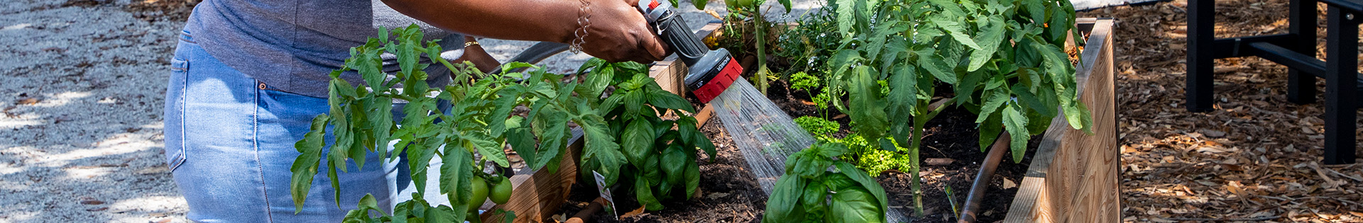 watering banner - spraying water on plants