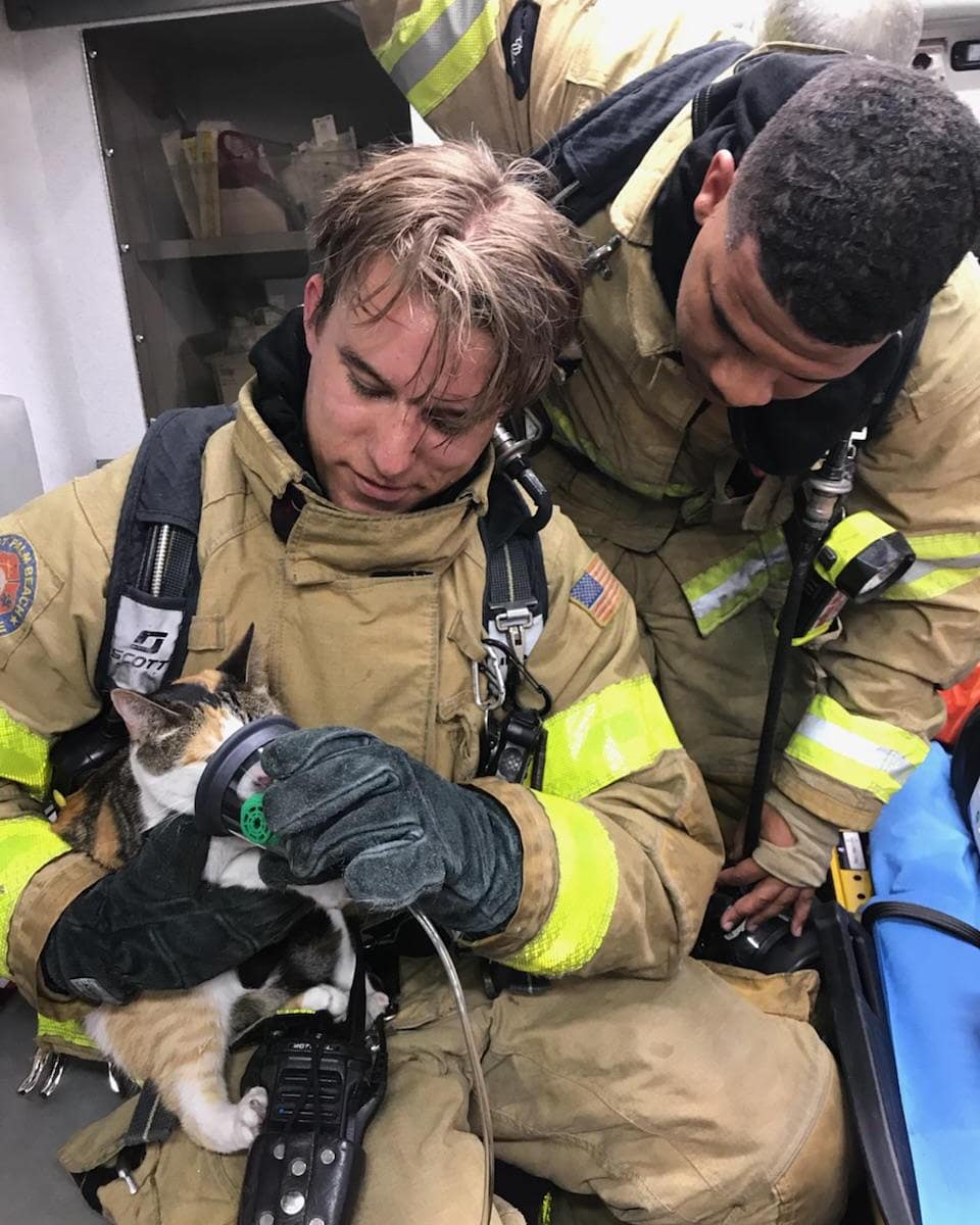 WPBFD Saves Cat