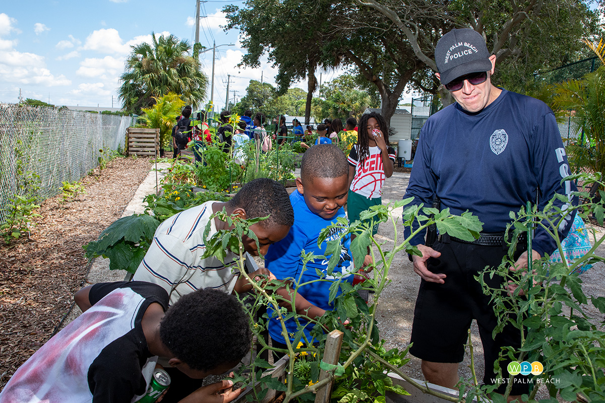 Tomatoes on the vine with Officer Seth Buxton 