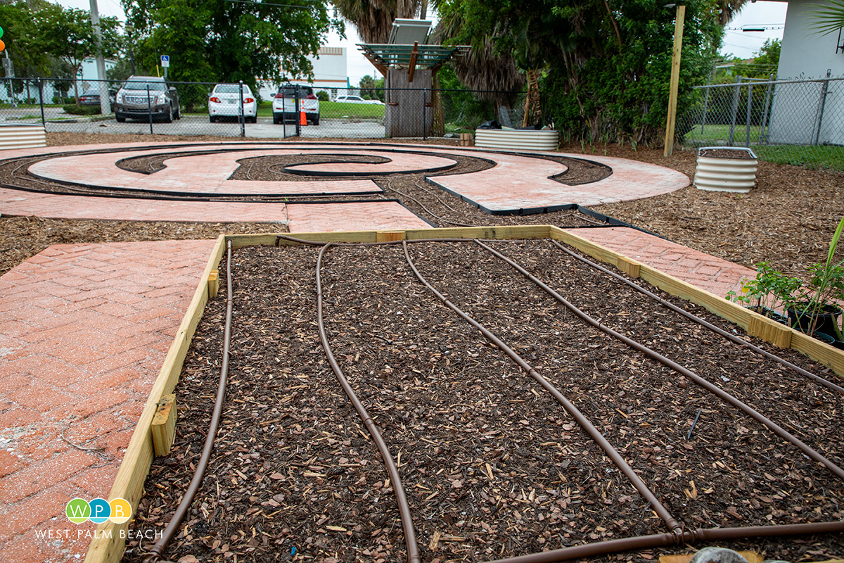 Ready to Plant. Photo shows areas with irrigation lines laid out awaiting plantings.