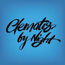 Clematis by Night script logo on blue background