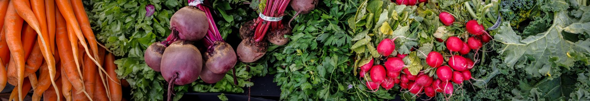 Overhead photo of colorful whole carrots, beets, radishes and kale