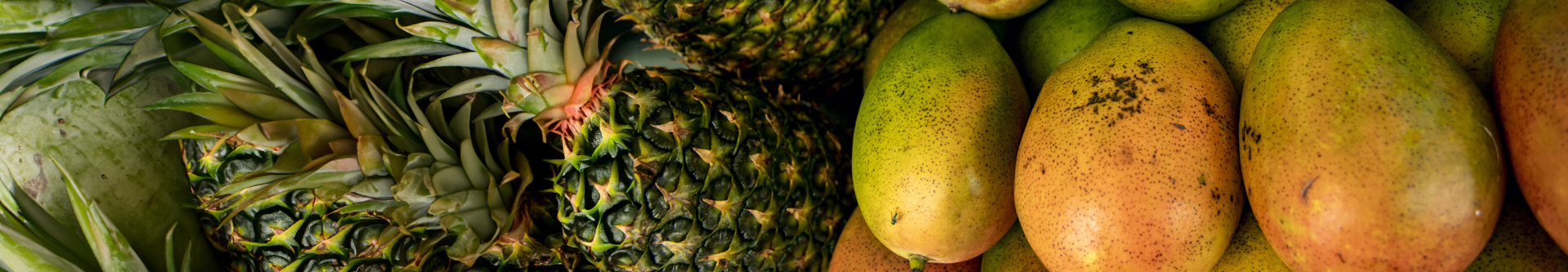 Close-up image of ripe mango and pineapple