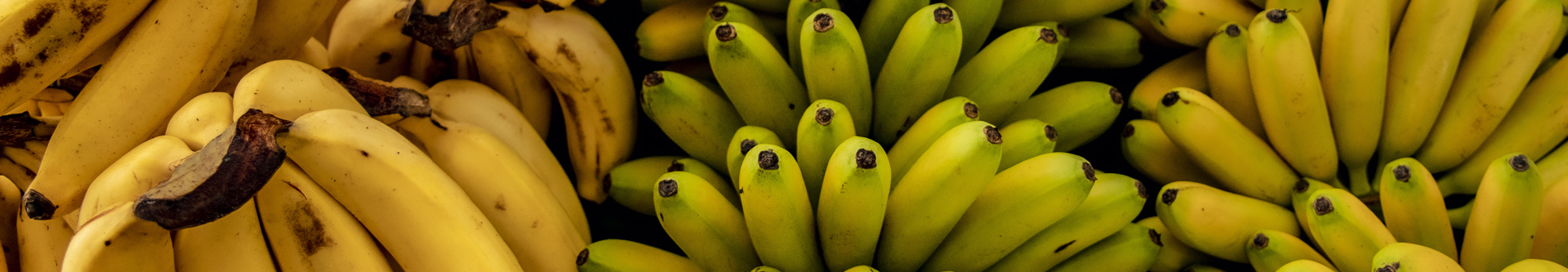 Close-up image of bananas