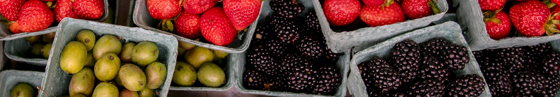 Close-up image of various types of berries
