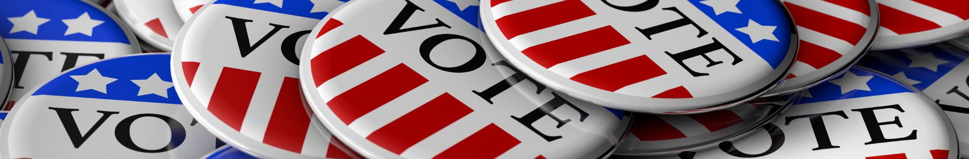Election  Vote buttons