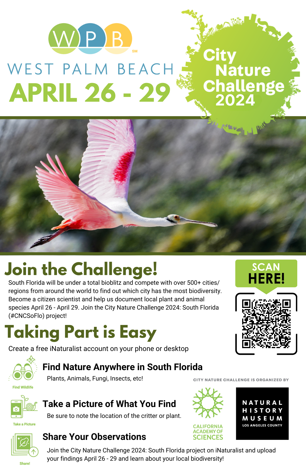 City Nature Challenge 2024