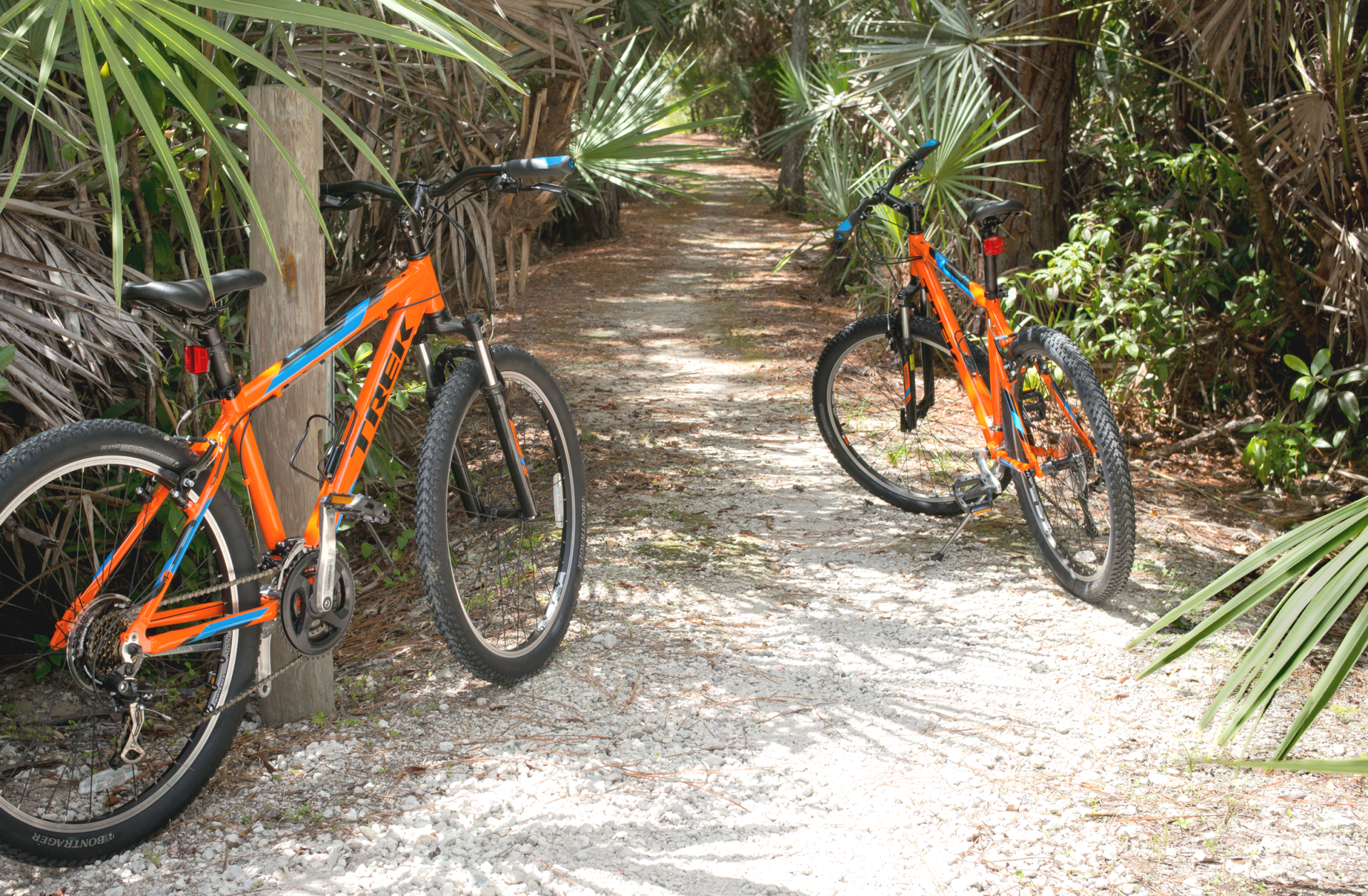 two orange mountain bikes at the shell rock trailhead of hog hammock trail