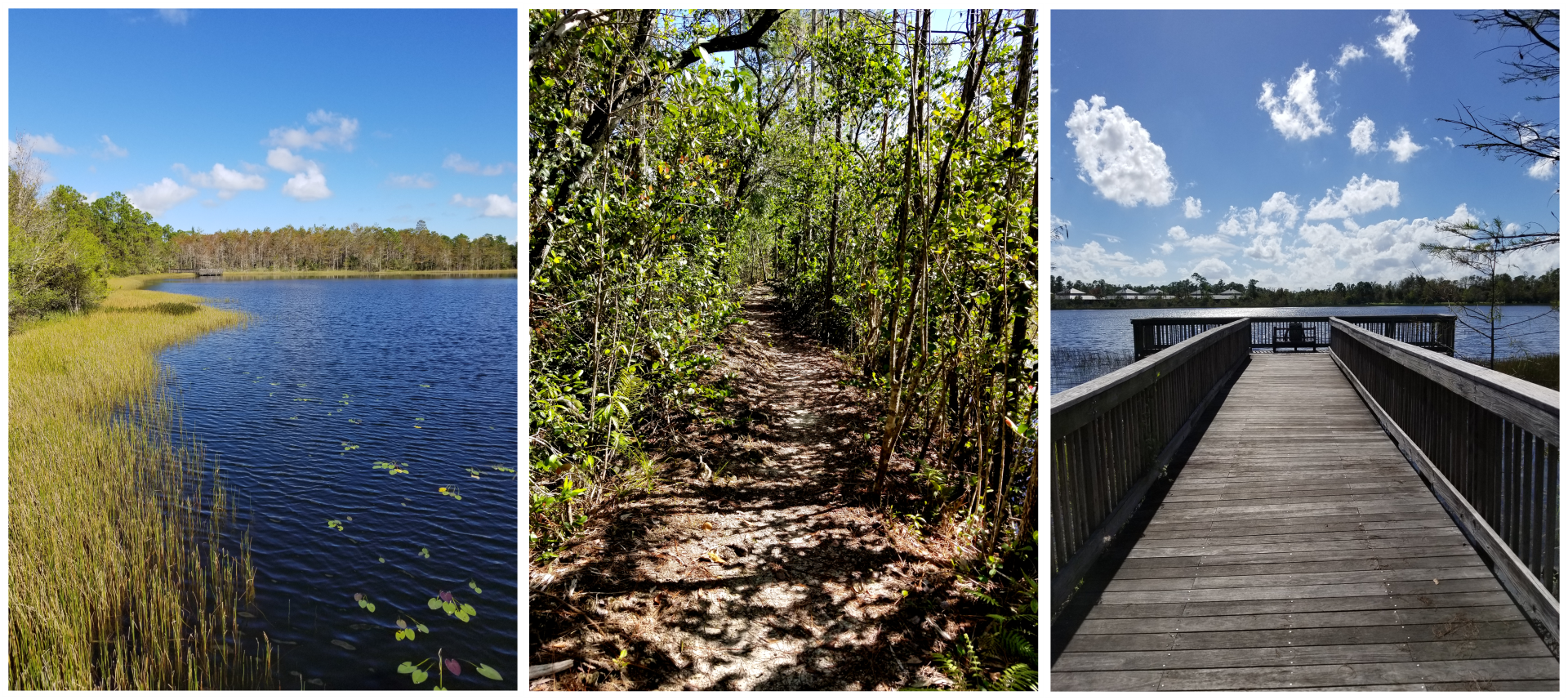 Three images in a row, the first is of the shoreline of Gator Lake, the middle is of the dirt surface of Eagle Trail, and the right is of the fishing dock