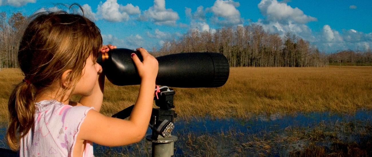 child looking through a spotting scope towards a cypress dome