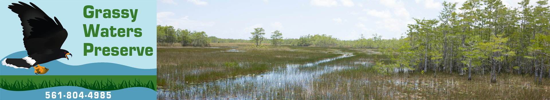 Grassy Waters logo featuring a snail kite next to a landscape image of the slough and cypress trees