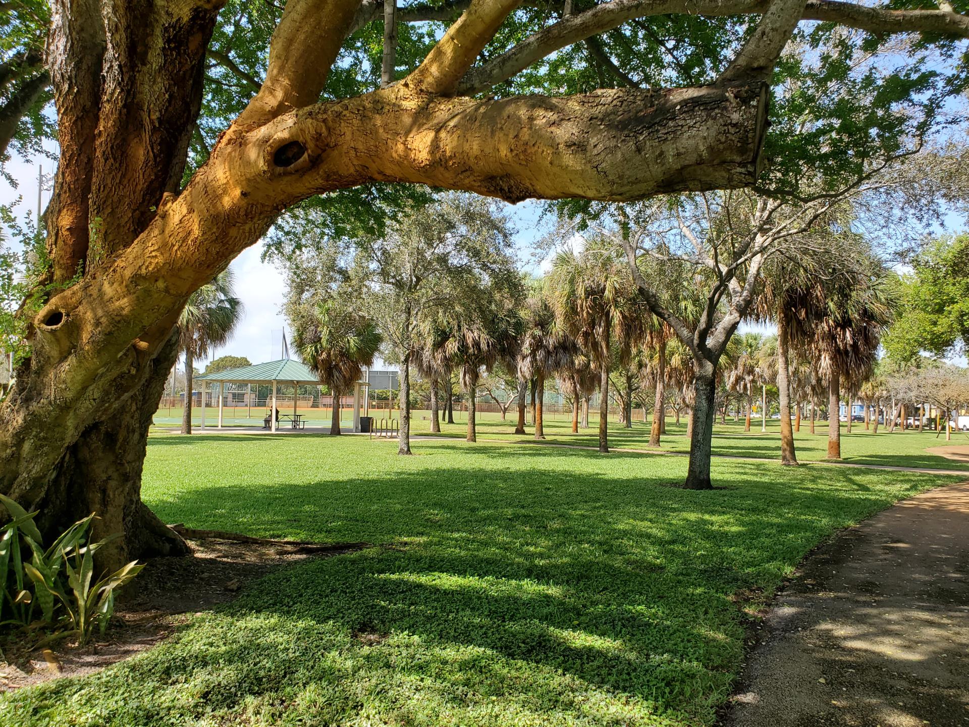 Mary Brandon Park