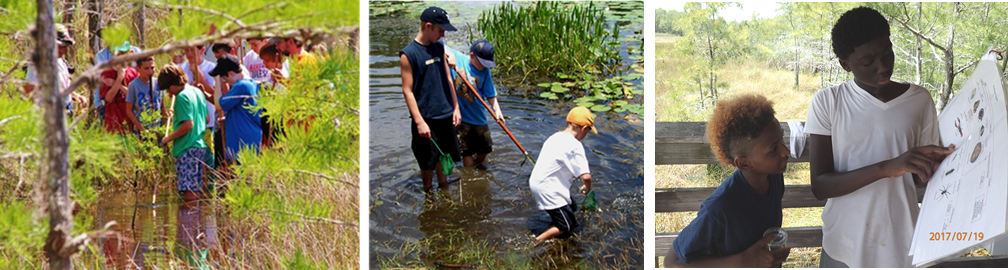 school students participating in dipnetting activity standing in water