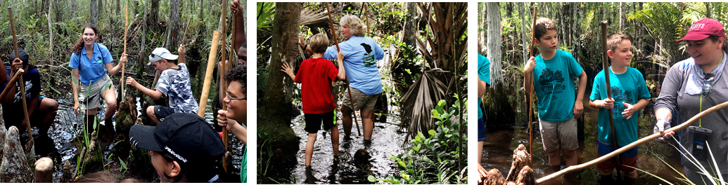 school students participating in swamp hike activity through knee deep water