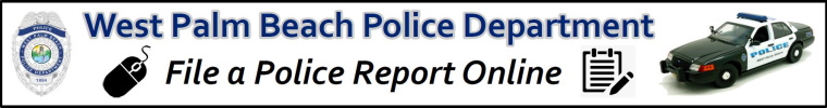 File a Police Report online 