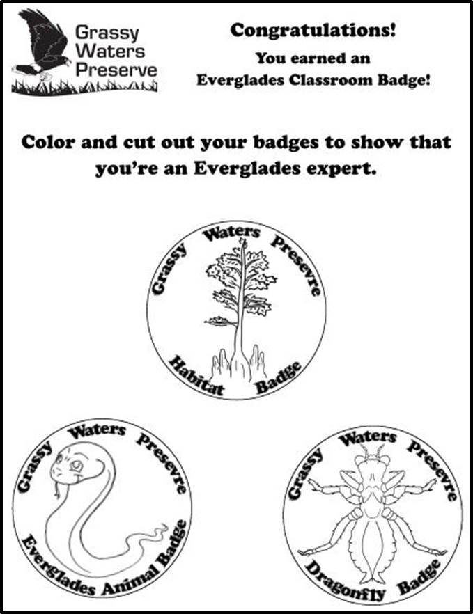 Everglades classroom badges image