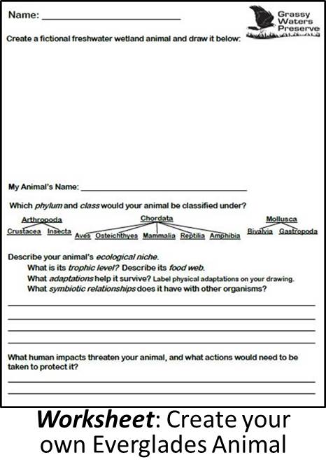 6-12 wetland animal worksheet image