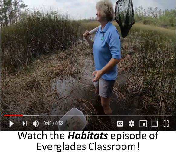 Habitats video thumbnail