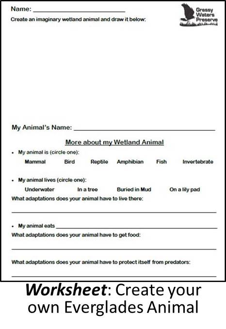 3-5 wetland animal worksheet image