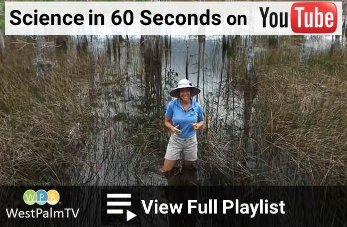 science in 60 playlist thumbnail