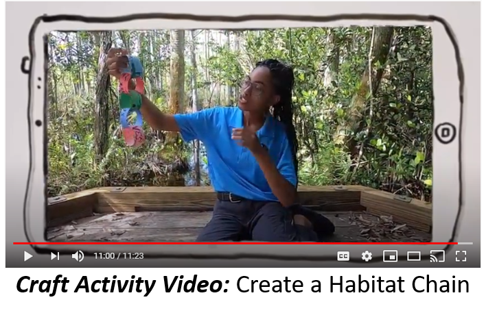 screenshot of staff member creating a habitat chain to teach about food, water, shelter, air, and space