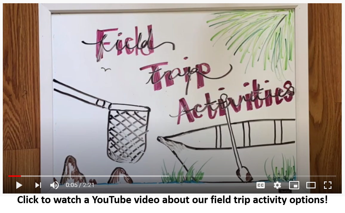 field trip activities video thumbnail