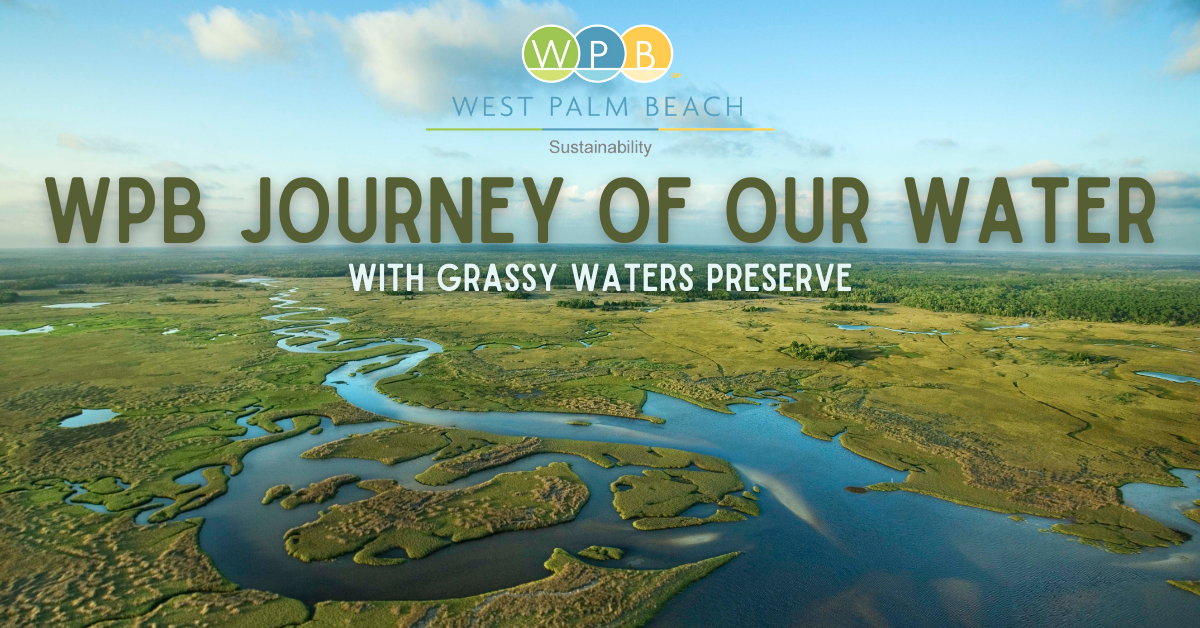 WPB Journey of our Water