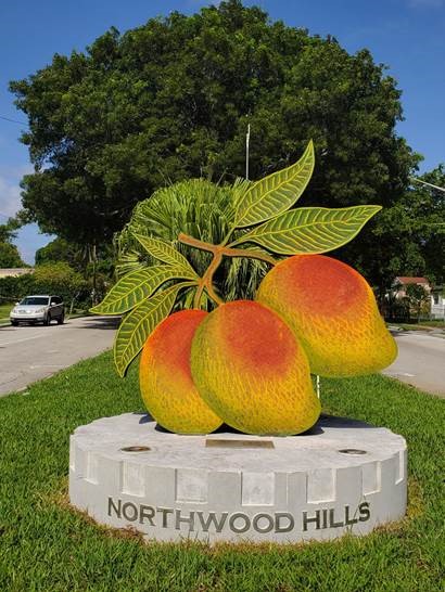 A photo of the Mango Moire sculpture in place on 36th street