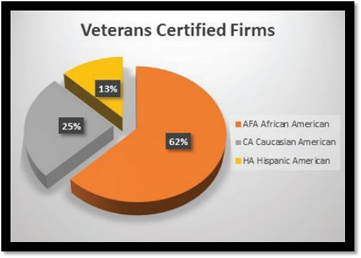 Pie Chart showing Veterans Certified Firms