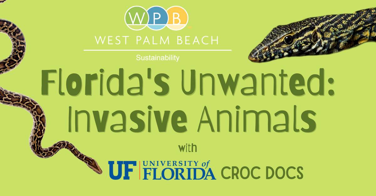 Florida's Unwanted