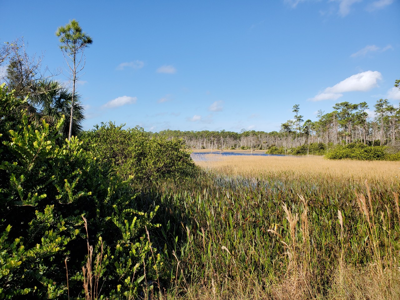 Apoxee Trailhead