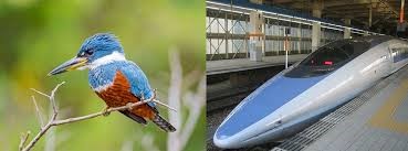 A kingfisher bird comparison to a high speed train