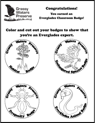 thumbnail of everglades classroom badges linking to pdf