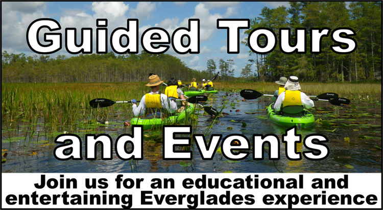 thumbnail image link to guided tours and events page with text join us for an educational and entertaining Everglades experience