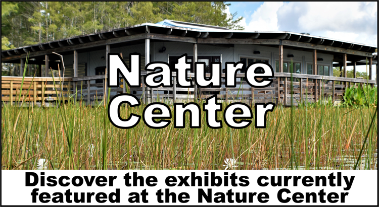 thumbnail image link to nature center page with text discover the exhibits currently featured at the nature center