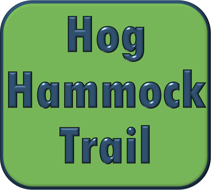 Link to Hog Hammock Trail page