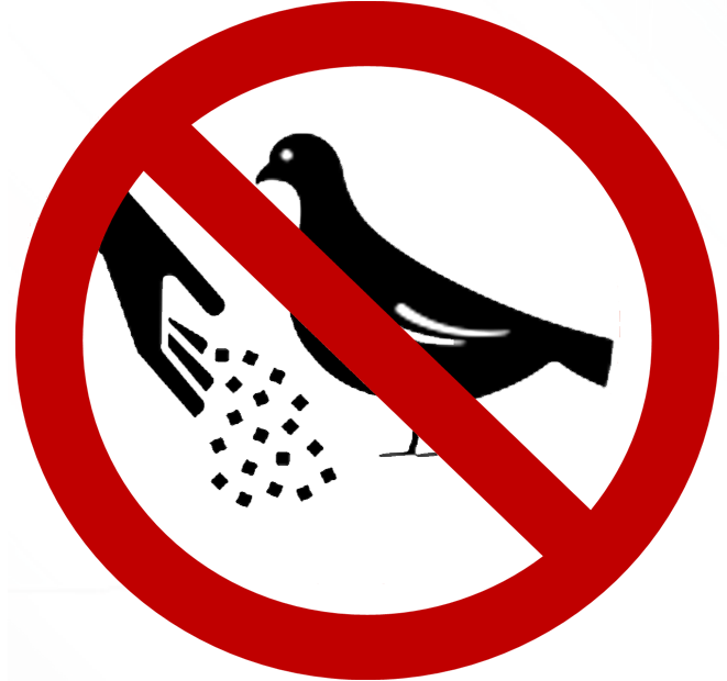 no feeding wildlife symbol