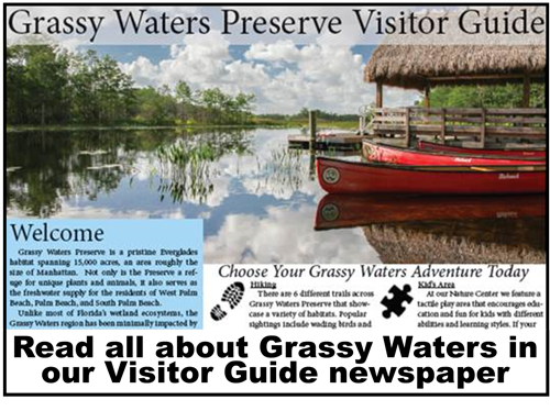 visitor guide newspaper thumbnail link to pdf