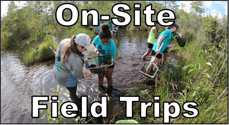 thumbnail link to on-site field trip information page