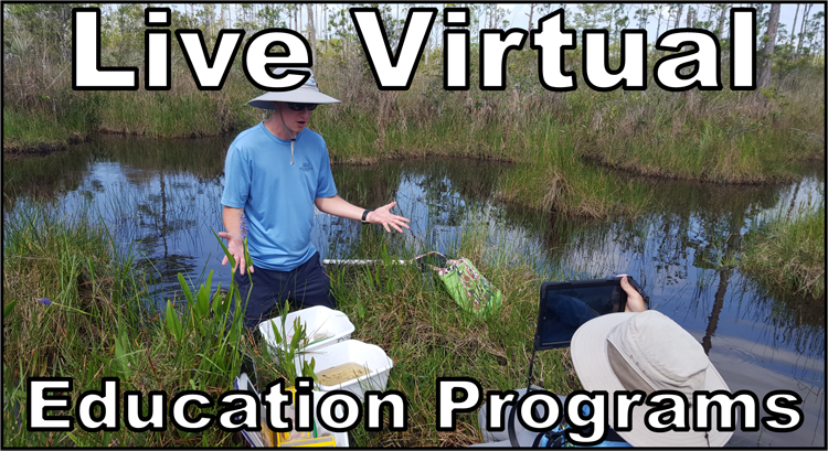 thumbnail link to live virtual education programs page