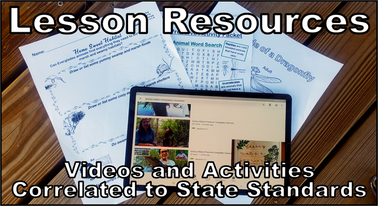 thumbnail link to lesson resources page with videos and activities correlated to state standards