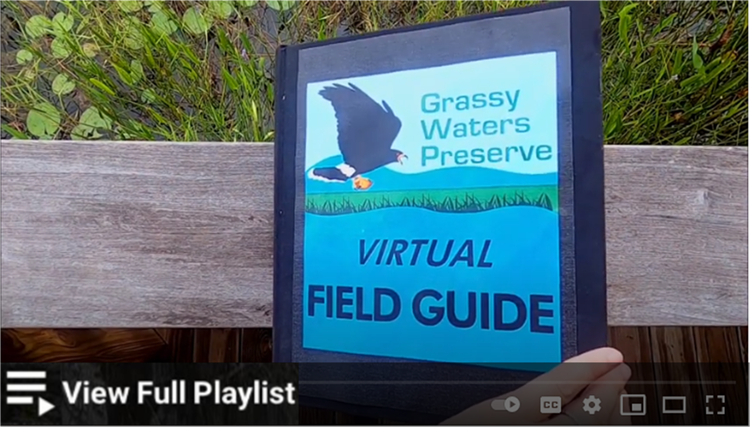 thumbnail image link to virtual field guide playlist on youtube