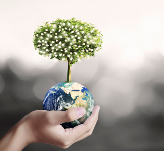 An image of a hand holding a tiny earth tree