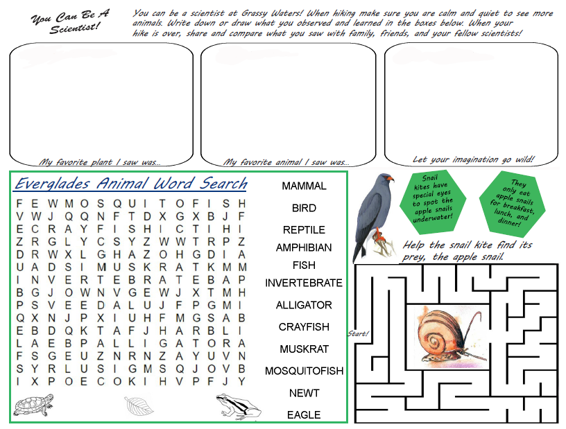 thumbnail link to kids activity page with word search and maze