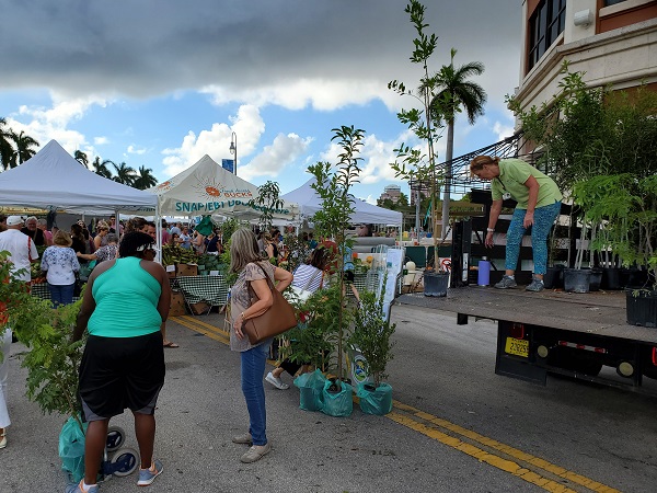 Photo of trees being given away in 2019