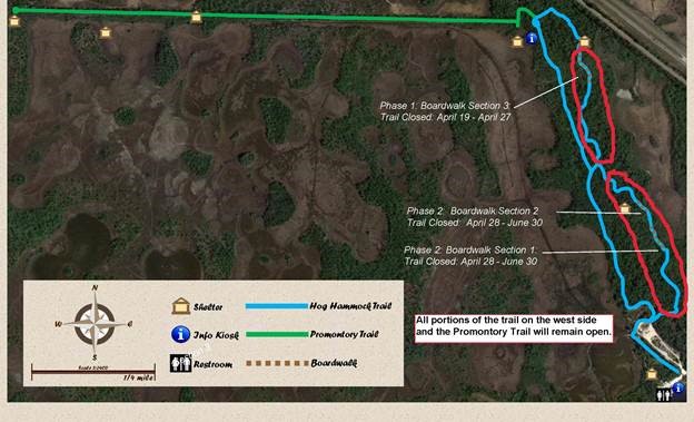 A map showing the path of the hog hammock trail