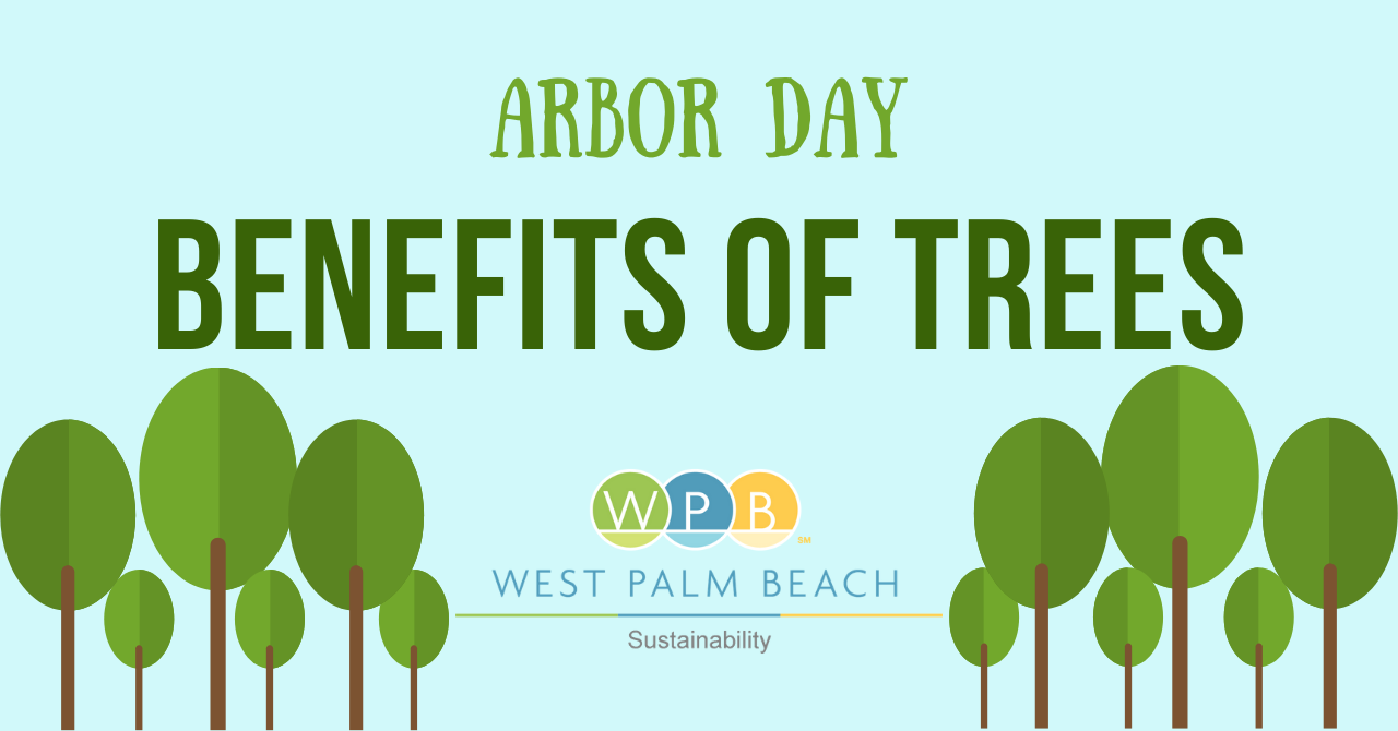 Arbor Day Benefits of Trees