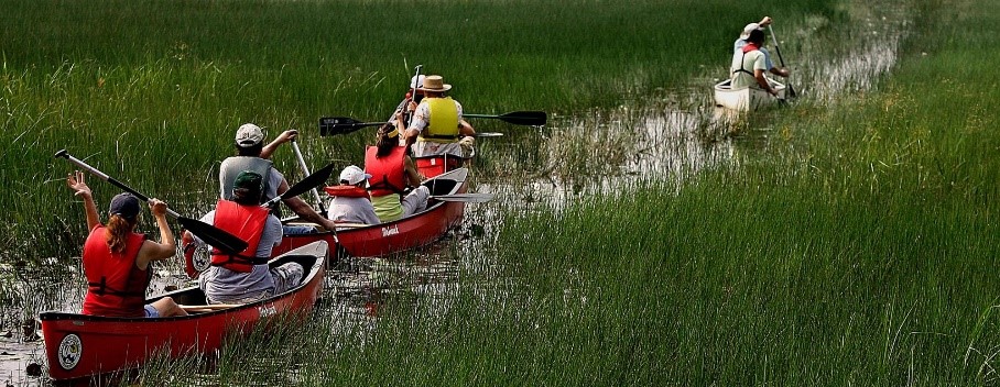 Canoe Cruise