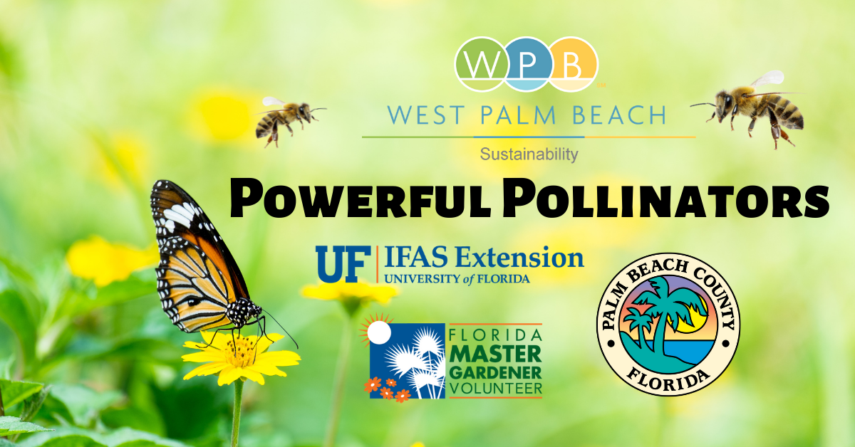 Powerful pollinators